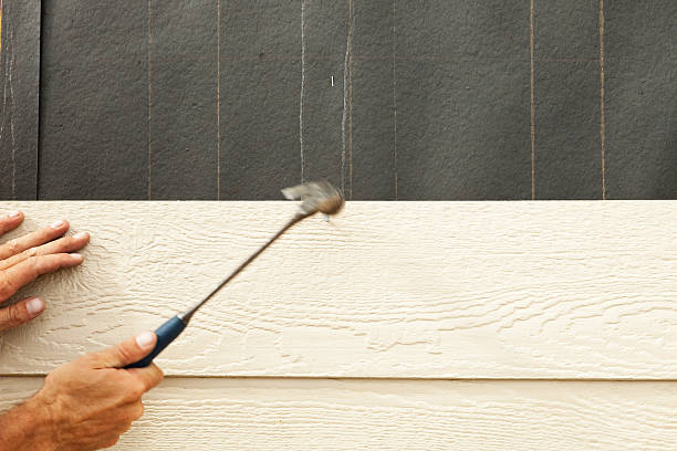 Best Siding Removal and Disposal  in Maypearl, TX